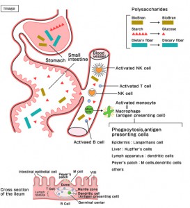 Effects on body