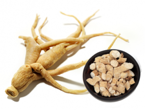 Ginseng