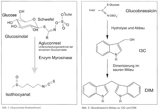 DZO_article_Fig-1_Fig-2-de