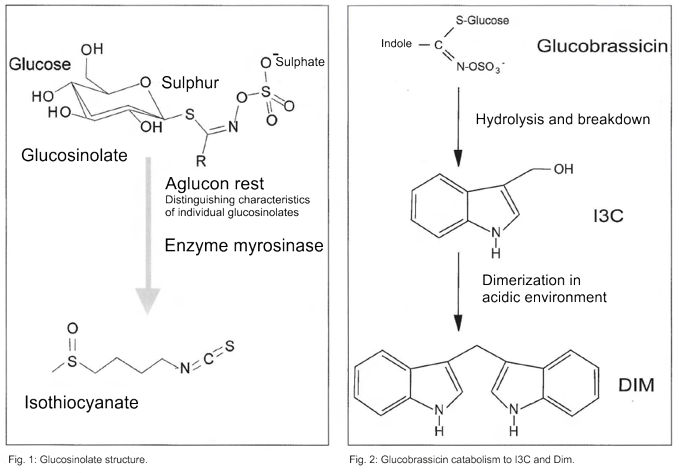 DZO_article_Fig-1_Fig-2-en